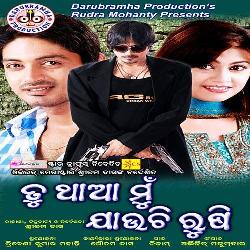 Bayasara Ranga Lagichi Gori Tate Laja